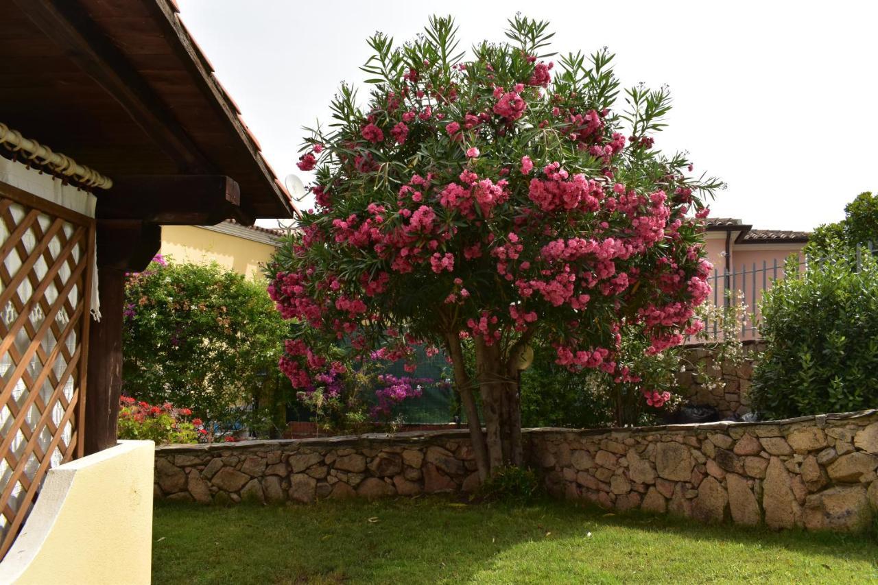 Splendida Villetta Tavolara 1 Vaccileddi Экстерьер фото